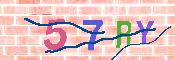 キャプチャ画像