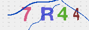キャプチャ画像