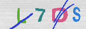 キャプチャ画像