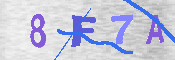 キャプチャ画像