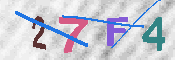 キャプチャ画像
