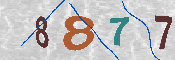 キャプチャ画像