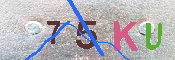キャプチャ画像