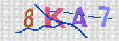 キャプチャ画像