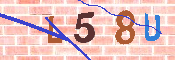 キャプチャ画像
