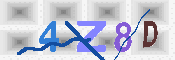 キャプチャ画像
