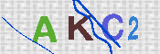 キャプチャ画像