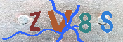 キャプチャ画像
