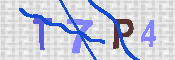 キャプチャ画像