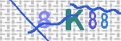キャプチャ画像