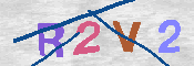 キャプチャ画像