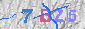 キャプチャ画像