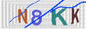 キャプチャ画像