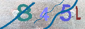 キャプチャ画像