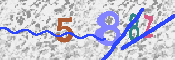 キャプチャ画像