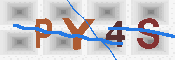 キャプチャ画像