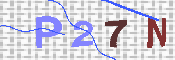 キャプチャ画像