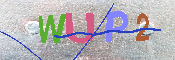 キャプチャ画像