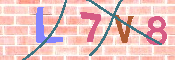 キャプチャ画像