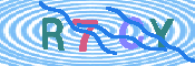 キャプチャ画像
