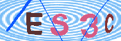 キャプチャ画像