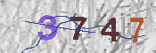 キャプチャ画像