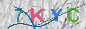 キャプチャ画像