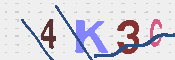 キャプチャ画像