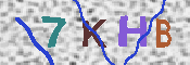キャプチャ画像
