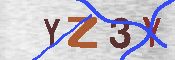 キャプチャ画像