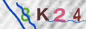 キャプチャ画像