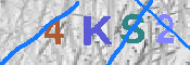 キャプチャ画像