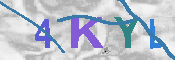 キャプチャ画像