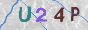 キャプチャ画像