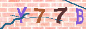 キャプチャ画像