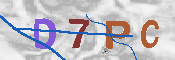 キャプチャ画像