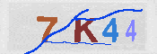 キャプチャ画像