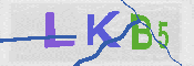 キャプチャ画像