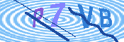 キャプチャ画像