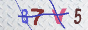 キャプチャ画像