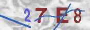 キャプチャ画像
