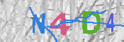 キャプチャ画像
