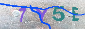 キャプチャ画像
