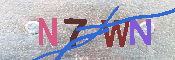 キャプチャ画像