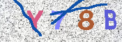 キャプチャ画像