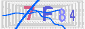 キャプチャ画像