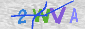 キャプチャ画像
