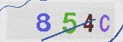 キャプチャ画像
