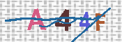 キャプチャ画像