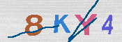 キャプチャ画像